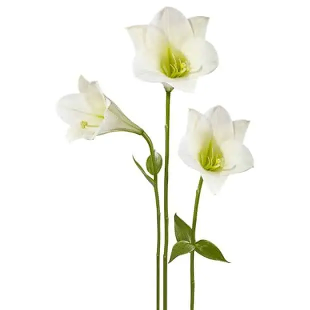 Mã sản phẩm: 4HDT0125