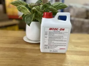 Sản phẩm INTOC-DN