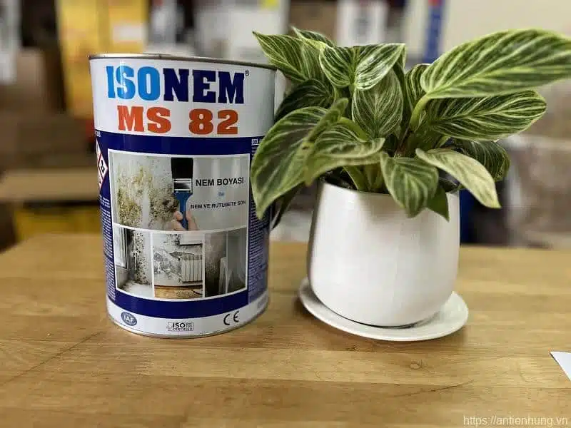 Sản phẩm chống thấm chống nấm mốc Isonem M82