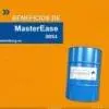 MasterEase 3051