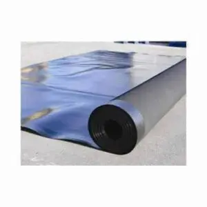 Proofex engage màng chống thấm