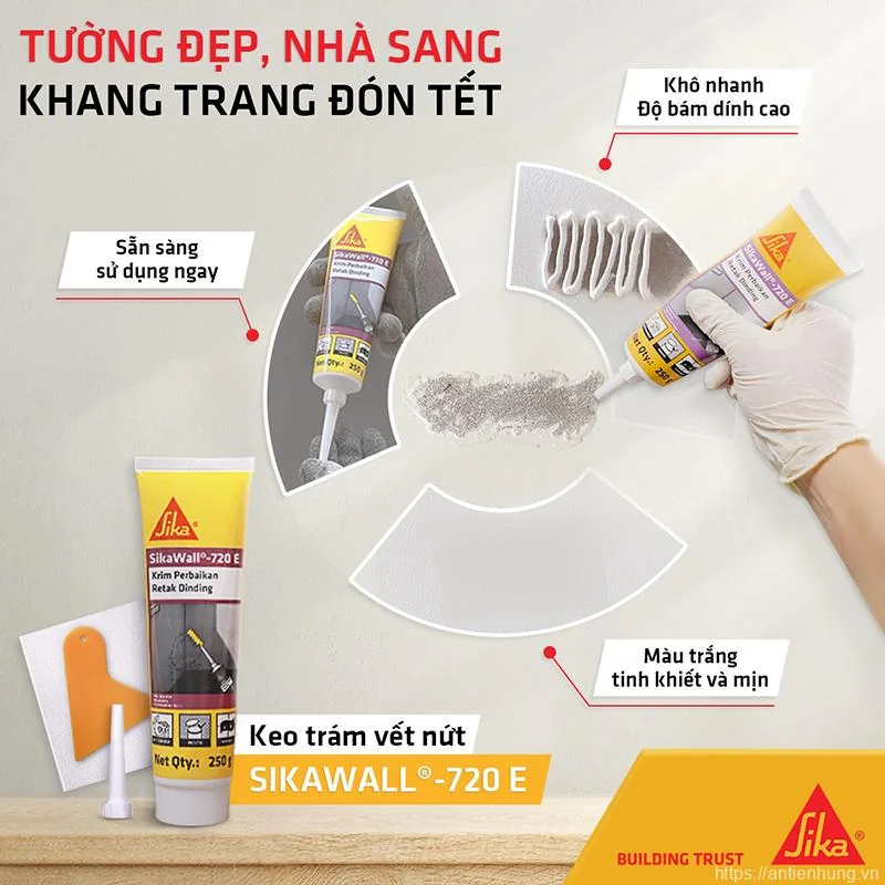 Keo trám vết nứt SikaWall 720 E