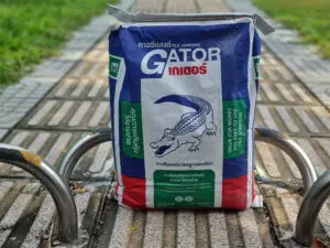 Keo dán gạch Gator Crocodile