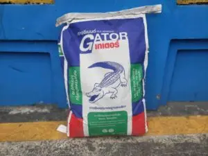 Keo dán gạch Gator Crocodile