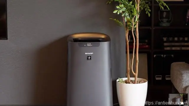 Hướng dẫn khử mùi sơn tường nhà mới hiệu quả bằng máy lọc không khí
