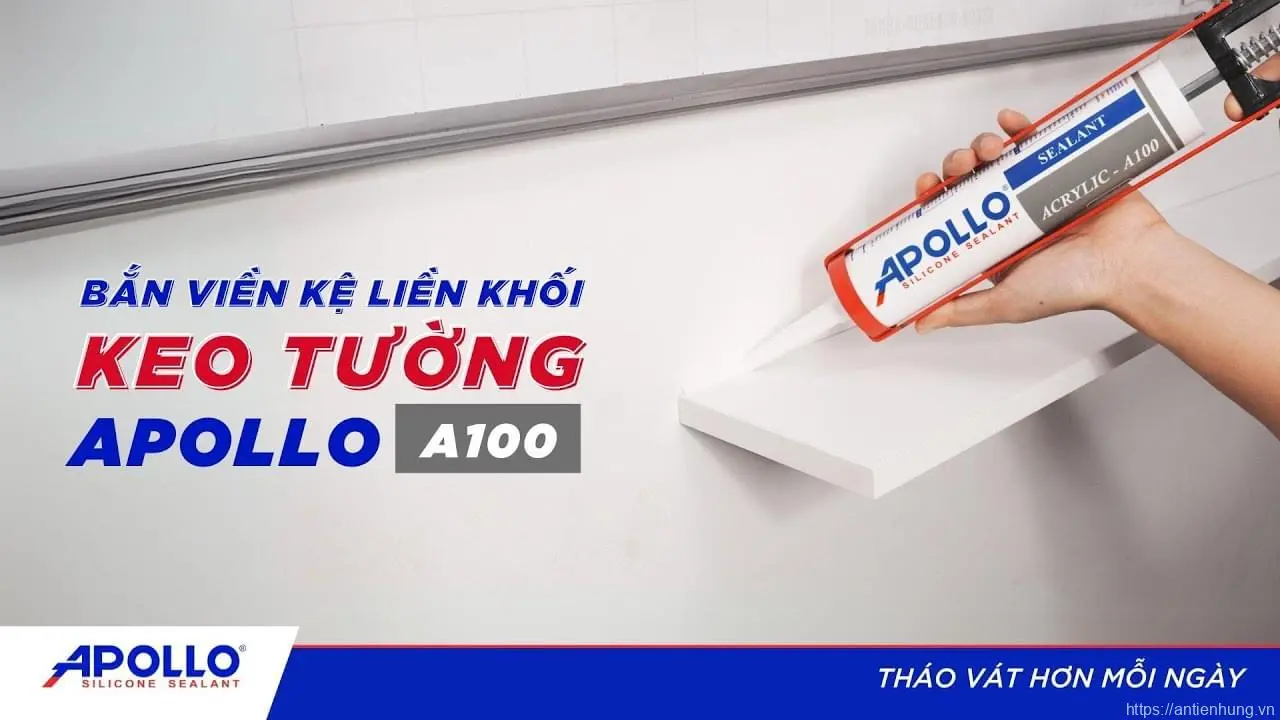 Bắn Viền Kệ Trắng Dễ Dàng Và Tinh Tế Với Keo Apollo A100