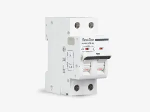 Aptomat ngắn mạch 2 cực RD.MCB 2P2E