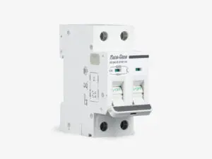 Aptomat ngắn mạch 2 cực RD.MCB 2P2E