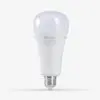 Bóng đèn LED Bulb tròn lưu điện