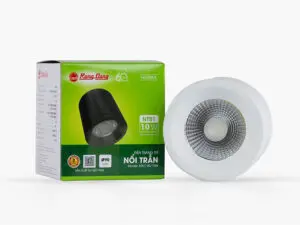Đèn Downlight nổi trần trang trí Model: NT01 90/10W