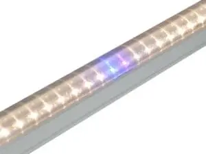 Đèn nuôi cấy mô - dược liệu NCM 1200/16W WBU