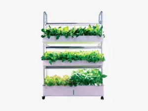 Hệ thống trồng rau xanh đô thị KTR01 90W