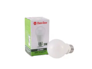 Đèn LED bulb A55N4/5W