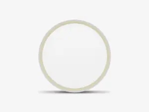 Đèn Led Ốp trần đổi màu LN28 DM
