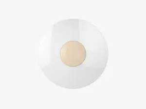 Đèn LED ốp trần LN26 ĐM