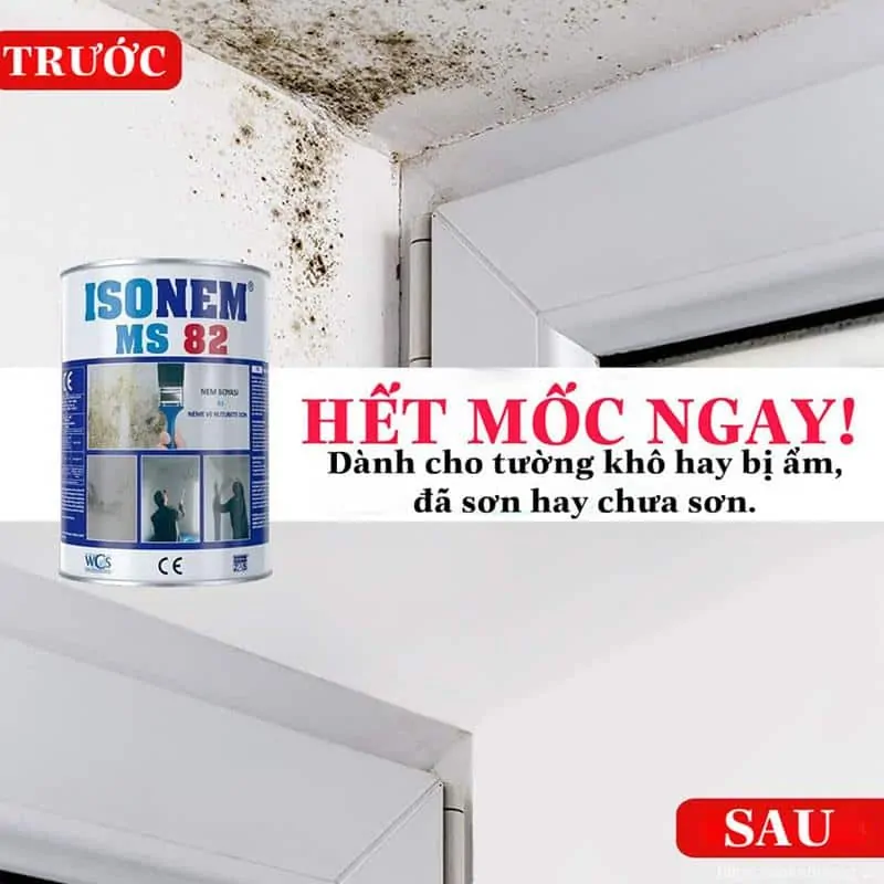 Chống ẩm, chống mốc của Isonem MS82 trước và sau thi công