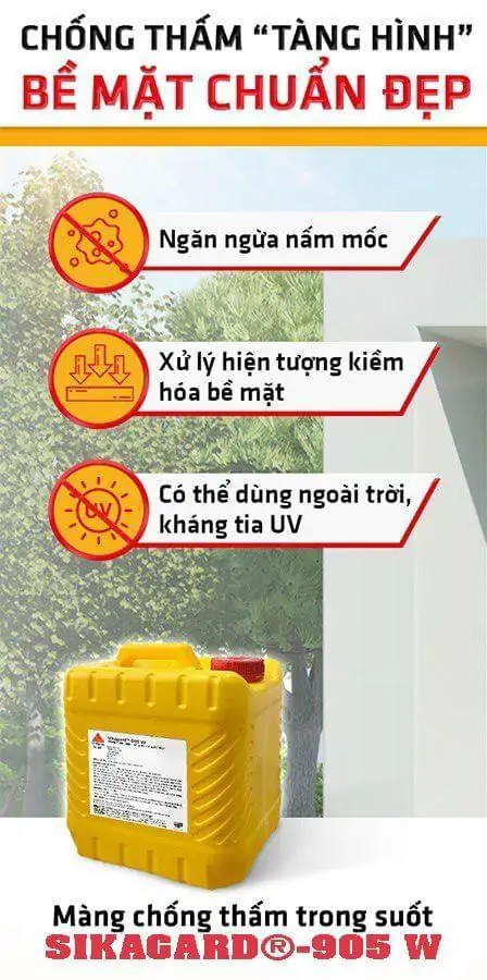 Chống thấm Sikagard 905w ngăn ngừa rêu mốc