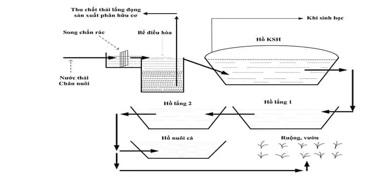 Mô hình thiết kế hầm biogas bể lắng