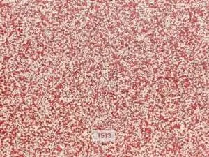 Sơn giả đá Kova mã 1513