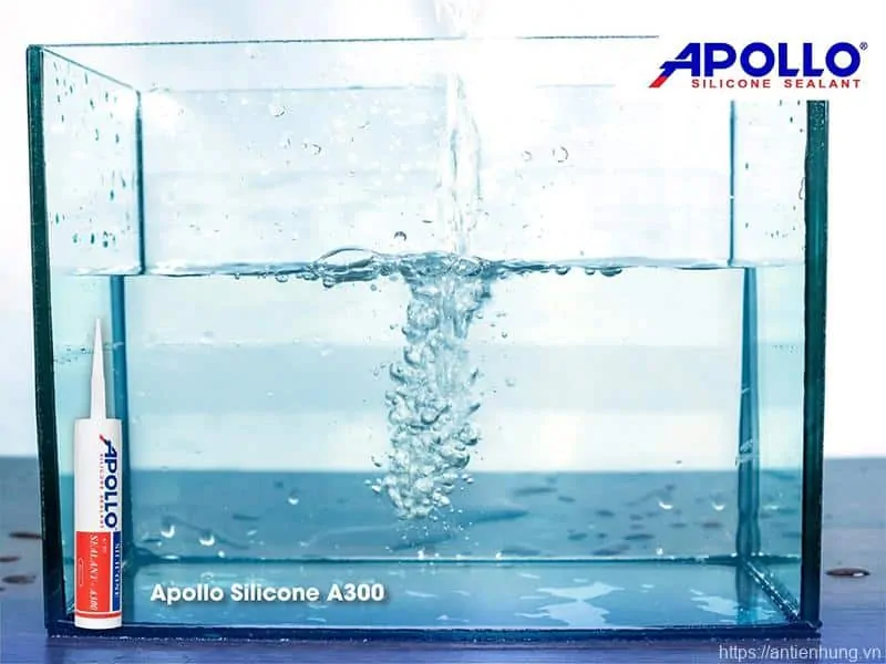 Cần thay mới và sửa chữa mối nối keo silicone trên bể cá nếu có dấu hiệu bị bong tróc