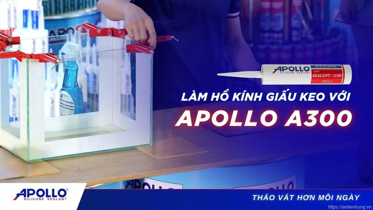 Hướng Dẫn Tạo Viền Trang Trí Hồ Cá Với Apollo A300
