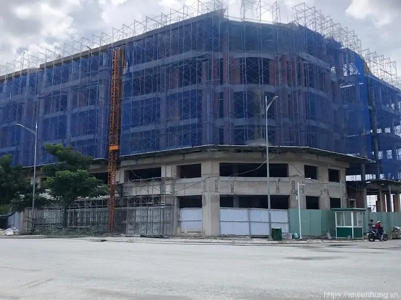 Hướng Dẫn Lựa Chọn Và Sử Dụng Lưới Công Trình